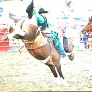 Meet your Posher, Tanner